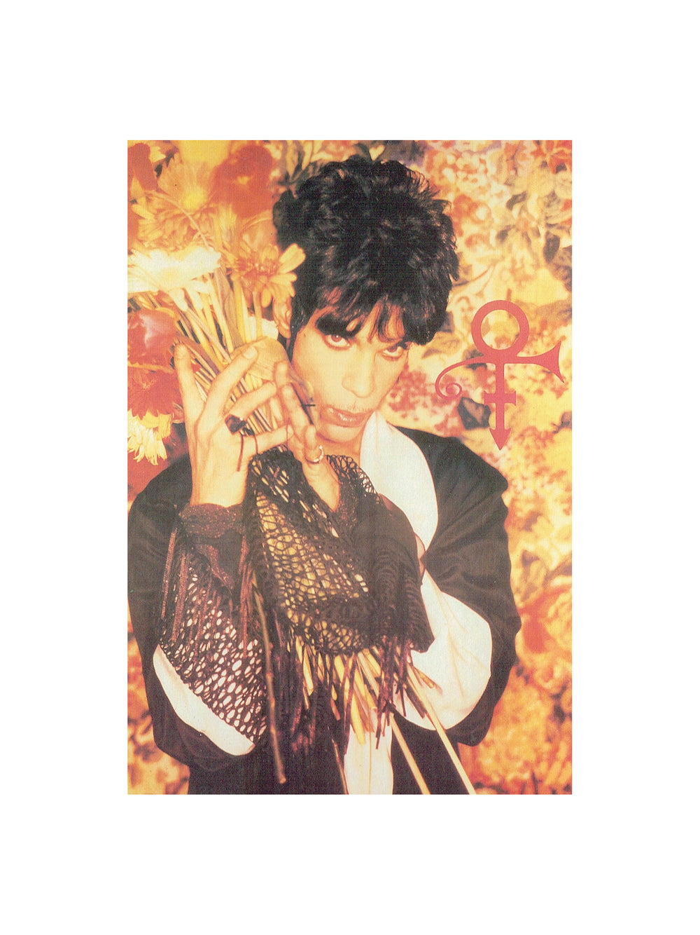 Prince – Postcard Vintage Printed In England Flowers
