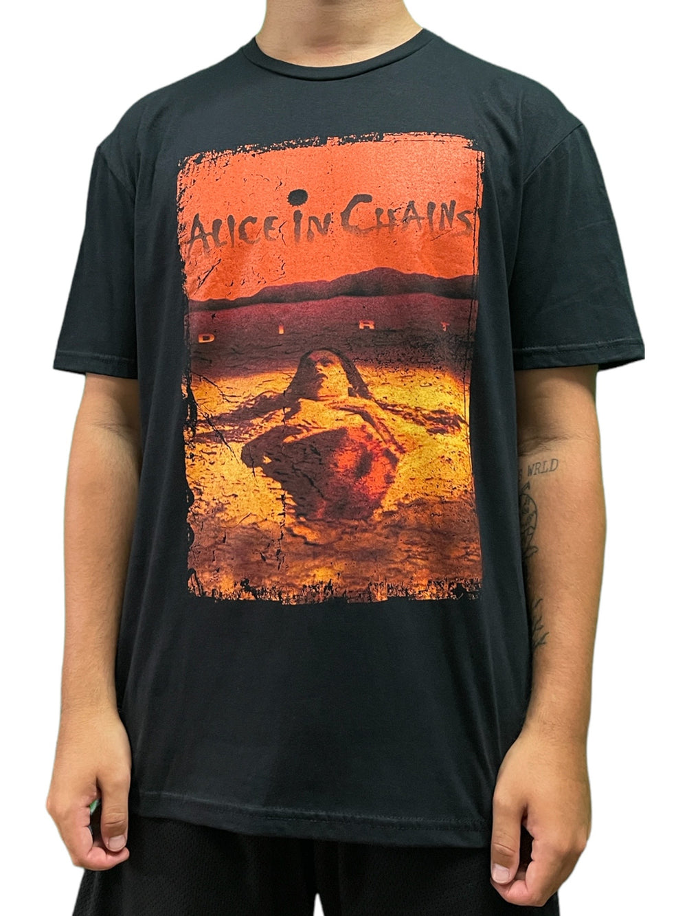 Alice In Chains Dirt Cover DISTRESSED Official Unisex T-Shirt Brand New Various Sizes